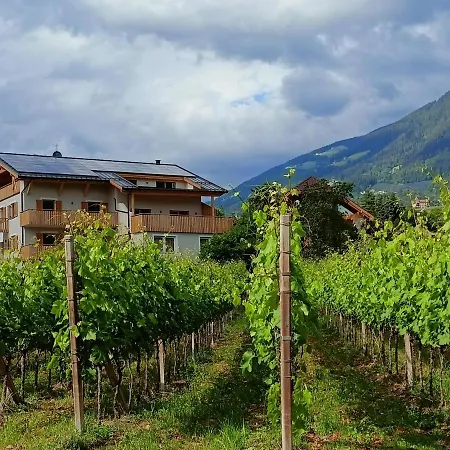 Apartment Torgglbauer 4 *