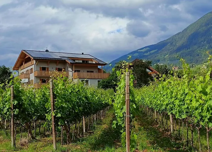 Apartment Torgglbauer 4 *